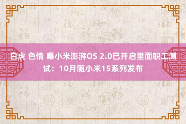 白虎 色情 曝小米澎湃OS 2.0已开启里面职工测试：10月随小米15系列发布