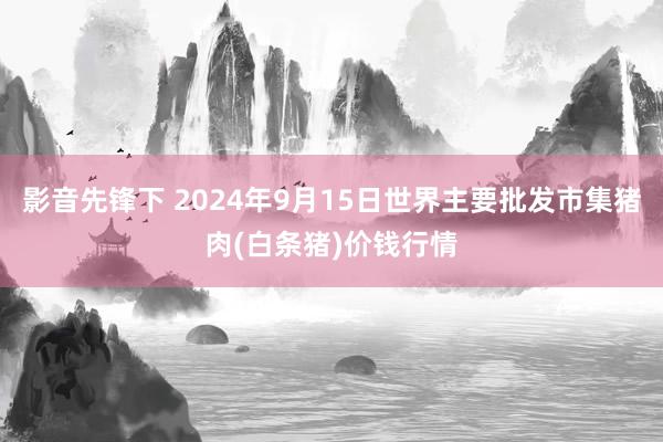 影音先锋下 2024年9月15日世界主要批发市集猪肉(白条猪)价钱行情