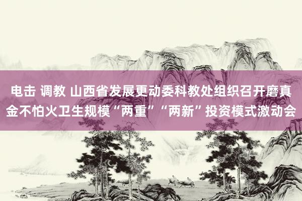 电击 调教 山西省发展更动委科教处组织召开磨真金不怕火卫生规模“两重”“两新”投资模式激动会