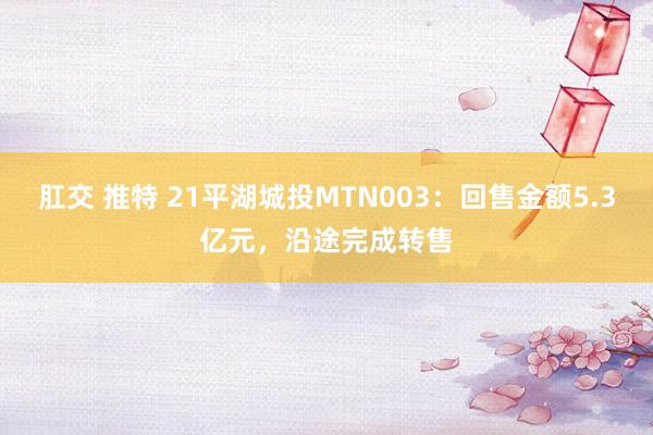 肛交 推特 21平湖城投MTN003：回售金额5.3亿元，沿途完成转售
