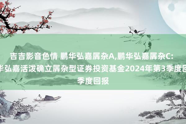 吉吉影音色情 鹏华弘嘉羼杂A,鹏华弘嘉羼杂C: 鹏华弘嘉活泼确立羼杂型证券投资基金2024年第3季度回报