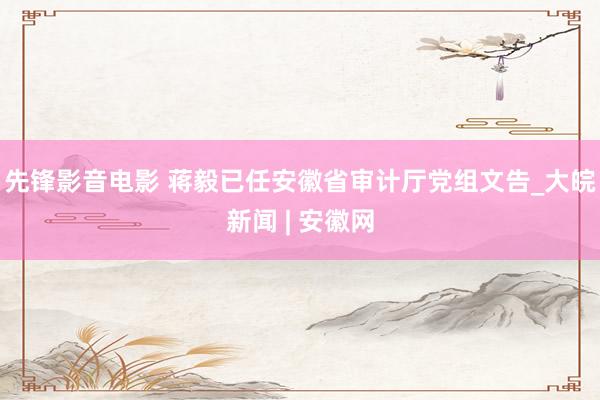 先锋影音电影 蒋毅已任安徽省审计厅党组文告_大皖新闻 | 安徽网