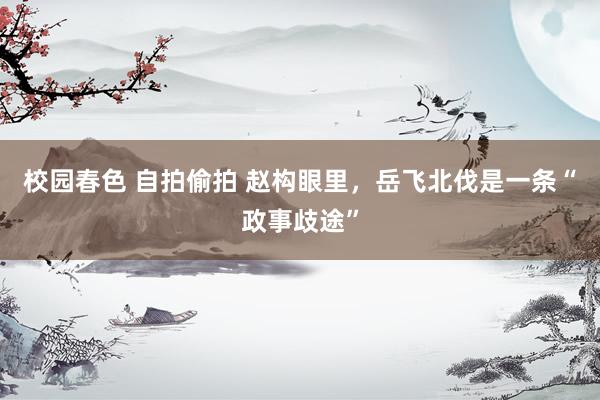 校园春色 自拍偷拍 赵构眼里，岳飞北伐是一条“政事歧途”
