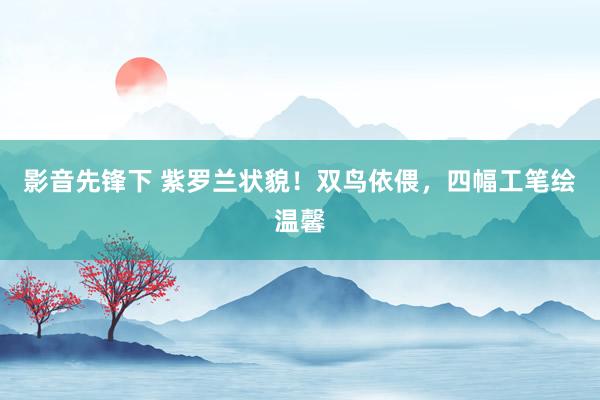 影音先锋下 紫罗兰状貌！双鸟依偎，四幅工笔绘温馨