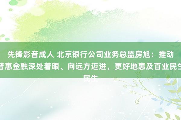 先锋影音成人 北京银行公司业务总监房旭：推动普惠金融深处着眼、向远方迈进，更好地惠及百业民生