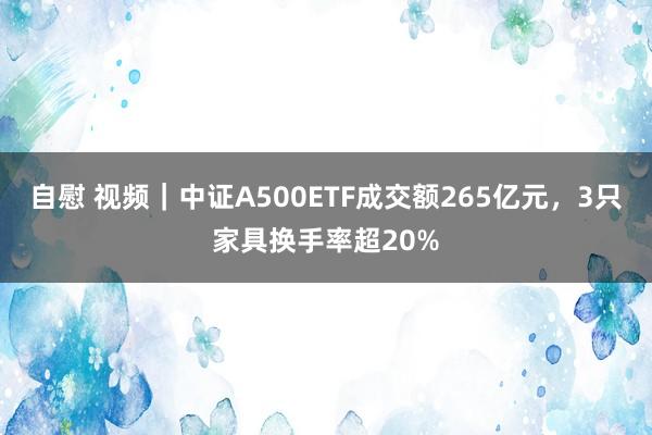 自慰 视频｜中证A500ETF成交额265亿元，3只家具换手率超20%