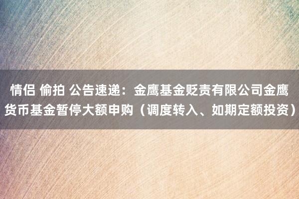 情侣 偷拍 公告速递：金鹰基金贬责有限公司金鹰货币基金暂停大额申购（调度转入、如期定额投资）