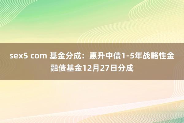 sex5 com 基金分成：惠升中债1-5年战略性金融债基金12月27日分成