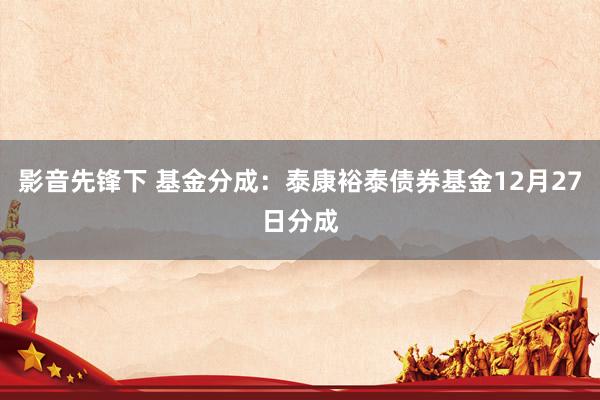 影音先锋下 基金分成：泰康裕泰债券基金12月27日分成