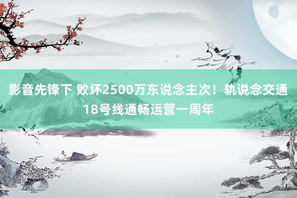 影音先锋下 败坏2500万东说念主次！轨说念交通18号线通畅运营一周年