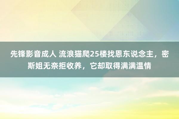 先锋影音成人 流浪猫爬25楼找恩东说念主，密斯姐无奈拒收养，它却取得满满温情