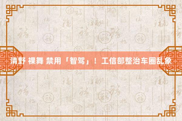 清野 裸舞 禁用「智驾」！工信部整治车圈乱象