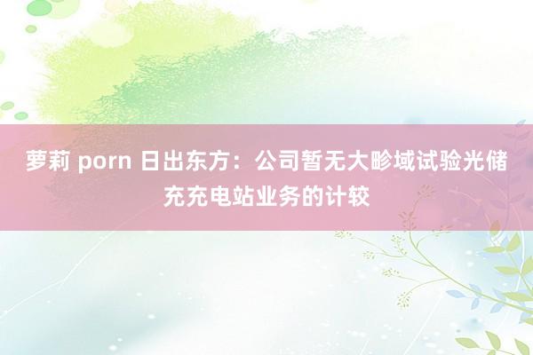 萝莉 porn 日出东方：公司暂无大畛域试验光储充充电站业务的计较